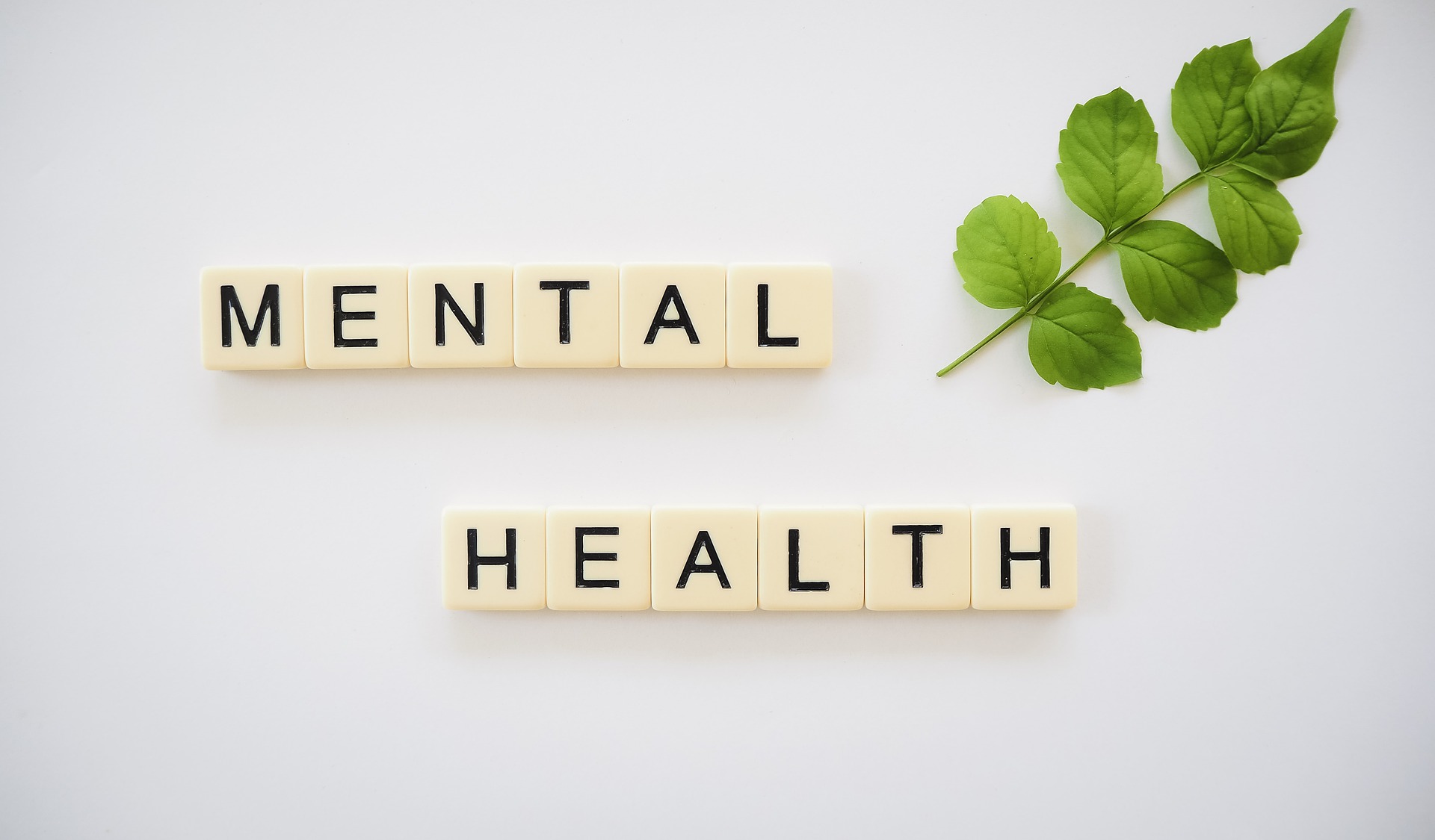 Mental Health - wooden letter blocks with green leaf representing growth and healing